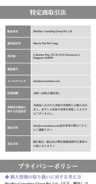 販売者名がシンガポールのBlueSky Consulting Groupと記載された毎日が給料日の特定商取引法