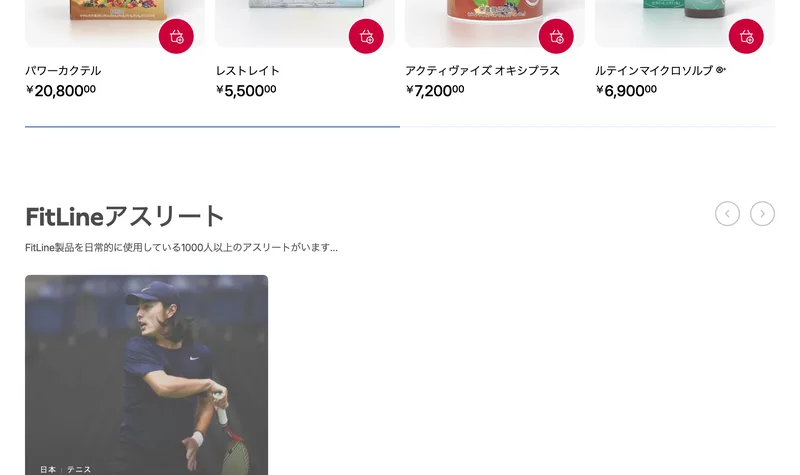 フィットラインの製品とその価格。レストレイト5,500円、パワーカクテル20,800円などが並ぶ商品一覧