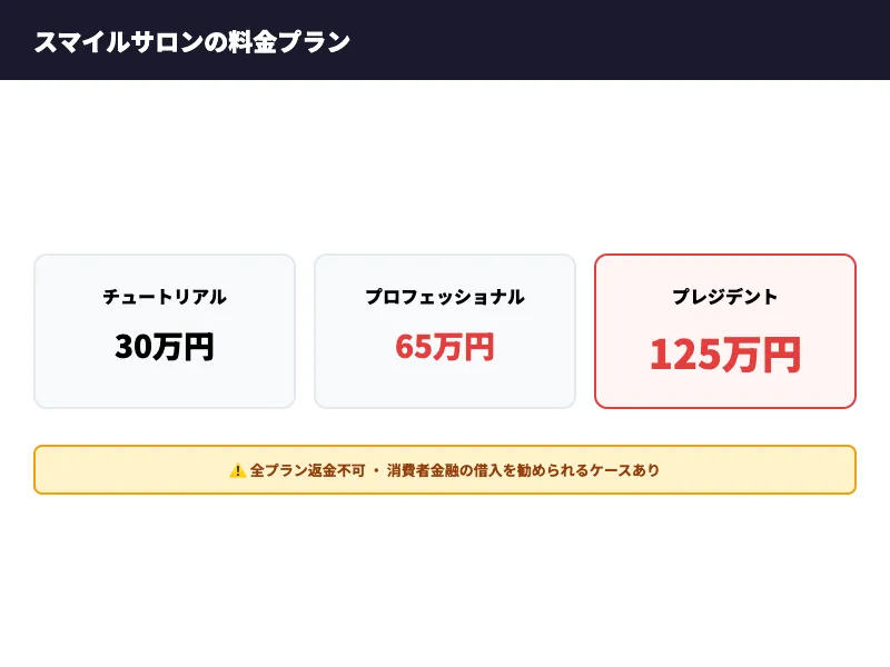 スマイルサロンの料金プラン。チュートリアル30万円、プロフェッショナル65万円、プレジデント125万円