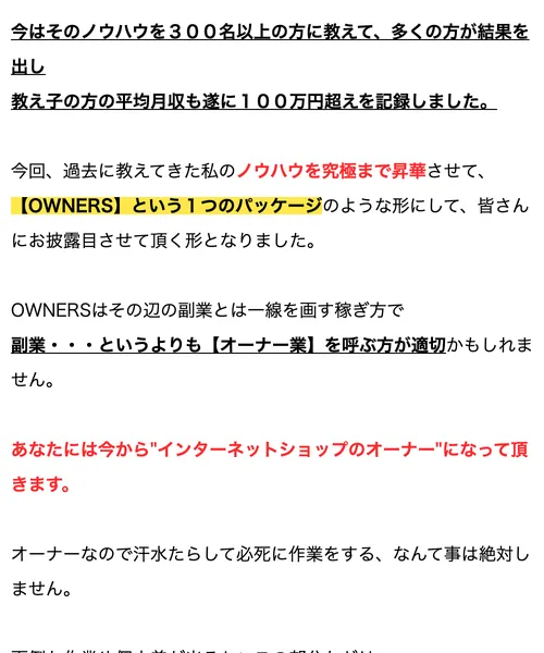 OWNERSの説明。「今から"インターネットショップのオーナー"になって頂きます」「副業というよりも【オーナー業】を呼ぶ方が適切」