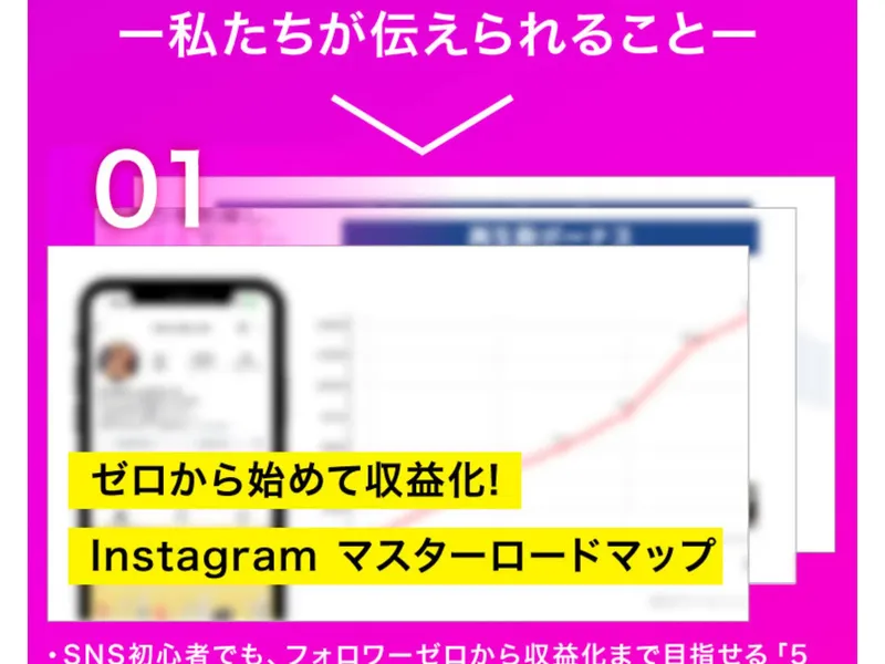SnsClubの広告で実績を紹介するページ