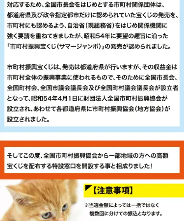 昭和48年のオイルショック後の市町村財政の窮迫に対応するため...と記載された概要セクション
