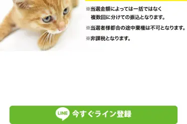 注意事項として「当選金額によっては一括ではなく複数回に分けての振込となります」「途中棄権は不可」「非課税」と記載